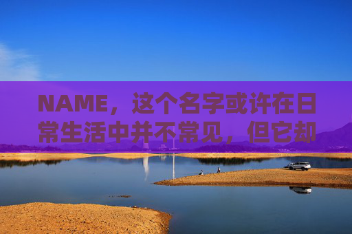 NAME，这个名字或许在日常生活中并不常见，但它却在某些领域里扮演着重要的角色。今天，让我们一起来探索这个名字背后的故事和意义